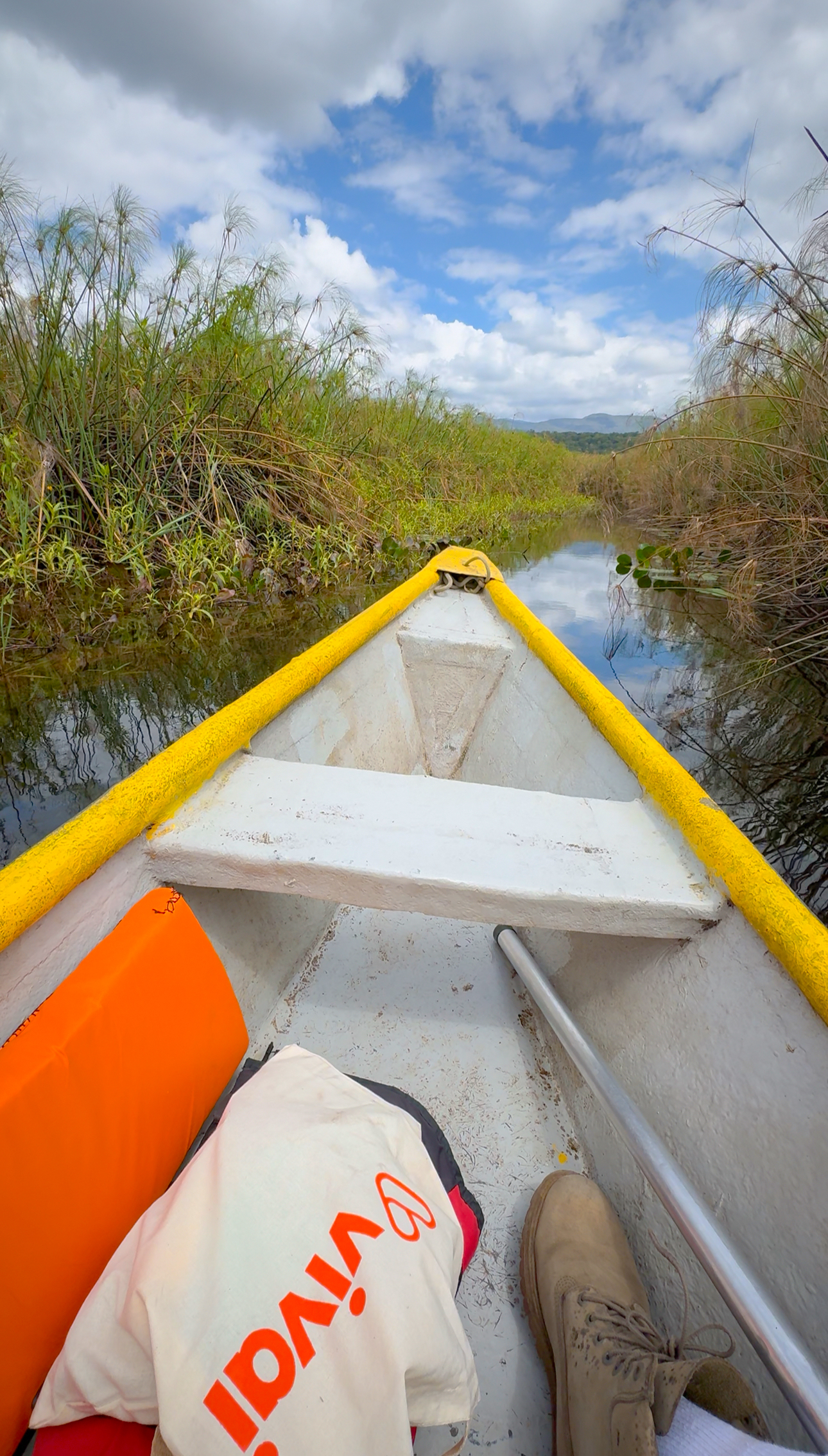 Mini Pantanal Marimbus - Foto de Dell Brito/Vivai